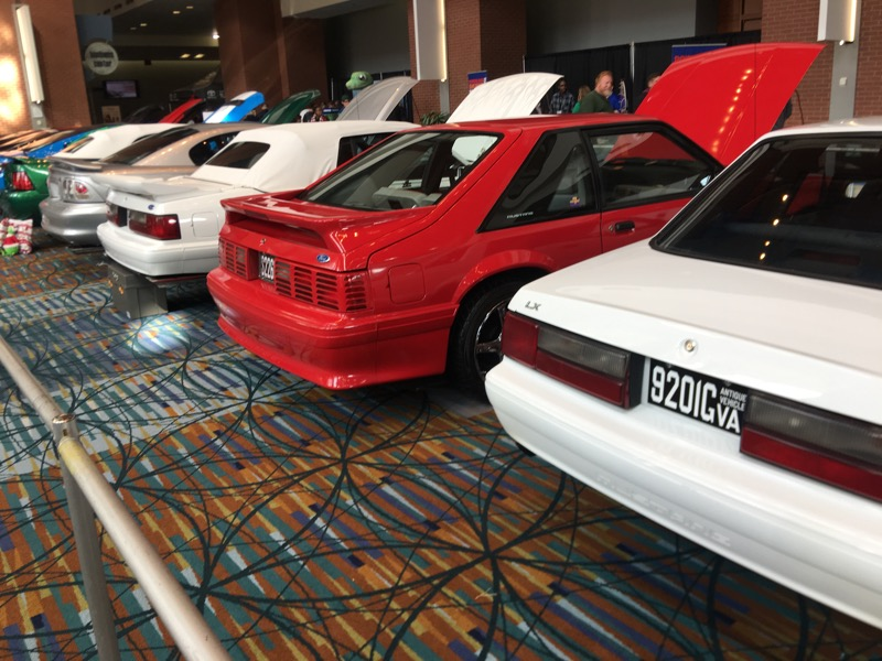We were greeted by a bunch of Mustangs